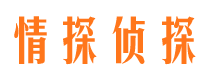 将乐专业找人